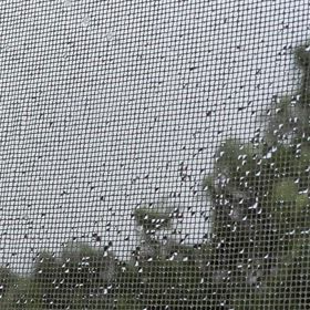 臨時休業の画像