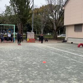 リレー選手選考会（スタート地点）⑨の画像