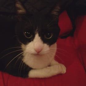 無駄なことの画像