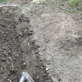 赤トンボの大群が来た‥これぞ無農薬栽培の証明？の画像