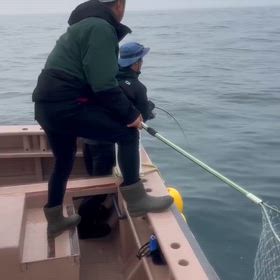 beginner's luck続出！！！しかも鰤！！の画像