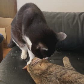 色々映ってますが。の画像