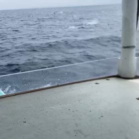 今日も超❗️激アツ‼️の画像