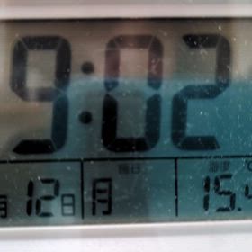 FM Betty 1/12の画像