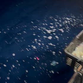 ”明日のドラゴン…”の画像