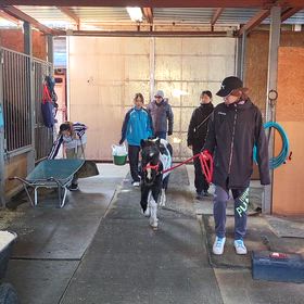 ウルムと神社に向かいますの画像