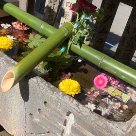 花手水舎　元町厳島神社の画像