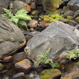 空中庭園は、一年前の、今日でした。の画像