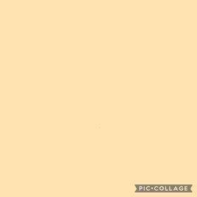 こももさんの画像