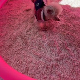 やっと外に行けた〜の画像