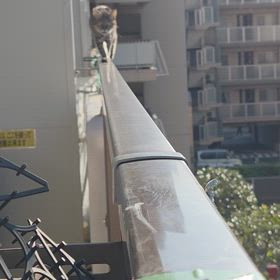 chappyさんのパトロールの画像