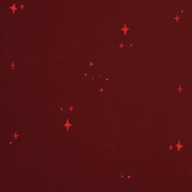 DOGXDOG りんちゃんの画像