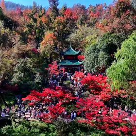 岳麓山の紅葉の画像