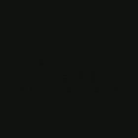 お花見動画の画像