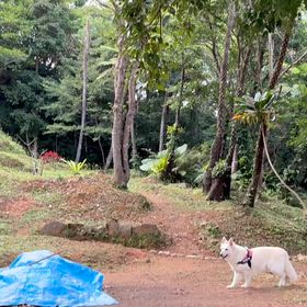 STEP EQT PRO 3日目の画像