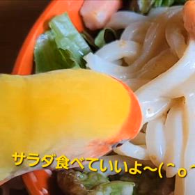 サラダうどんの画像