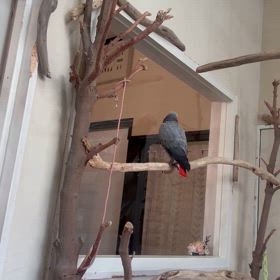 次の日曜日の7日(日)は営業します！！の画像