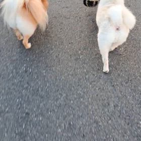 ダブルリードで♪の画像
