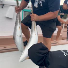 前代未聞！！！！！？の画像