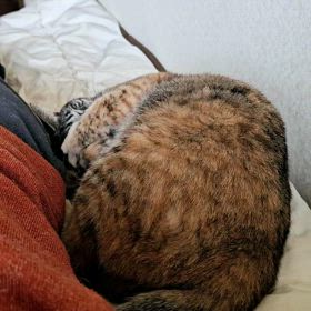 のんびりの画像