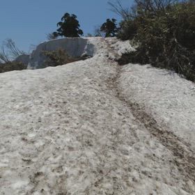 2025.5.5 兵庫県 残雪の氷ノ山にての画像