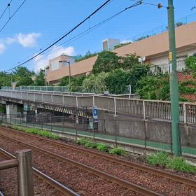 東京さくらトラムの画像
