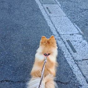 大好きなお姉さん♫の画像