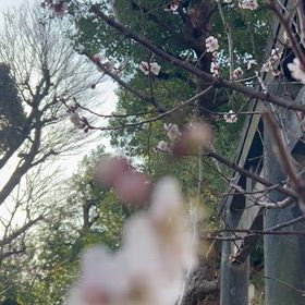 普通のおばさんで終わりたくない人はの画像