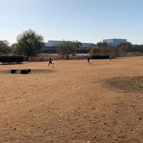 ミニ駅伝(安比奈親水公園)③の画像