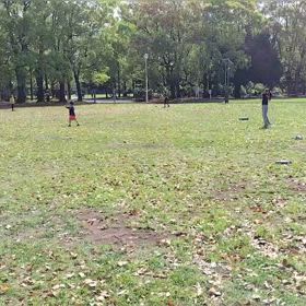 4/21 ジャベリックボール練習②の画像