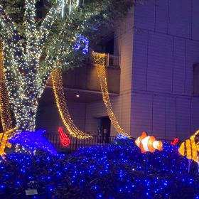 終の住処　　ワクワクの種その3の画像