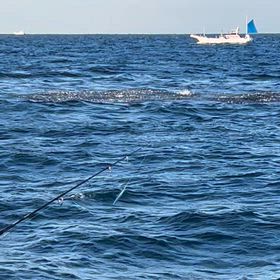明日の乗り合いまだ空きありますよの画像