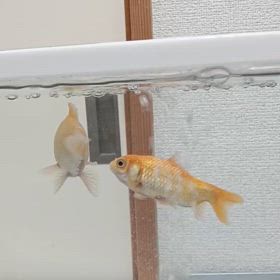 怒涛の疲れの画像