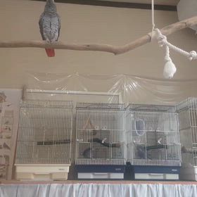 嬉しかった話し。の画像