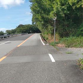 伐採は山やね…　海もたまにね！　警備員は辛いよ✌の画像