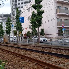 2024/05/15の画像