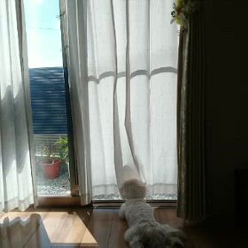 今日の沖縄は汗が出るの画像