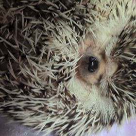 胸に何かが詰まる想いの画像