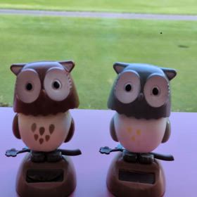 33位　ゾロ目賞の画像