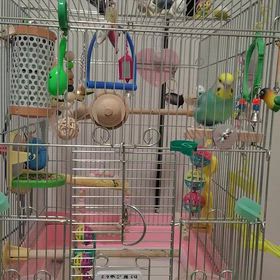 今日も元気！の画像