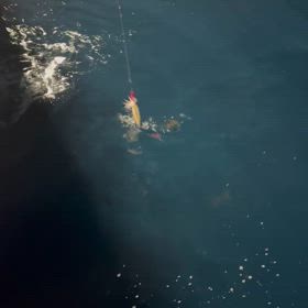 夜焚きイカ便‼️の画像