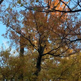 うさぎ山　お散歩方位取りの画像