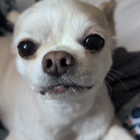 おはよーの画像