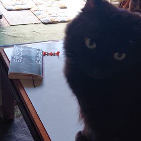 ひんやりな朝ですの画像