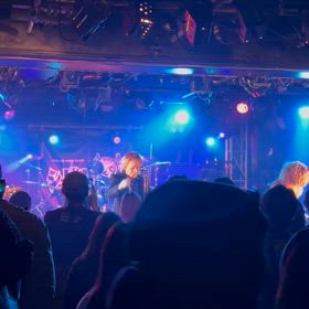 シュリーカーLIVE2の画像