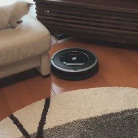 風太 vs ルンバ  vol. 1 / Hoota vs Roomba vol. 1の画像
