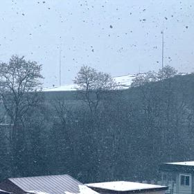 本気で降ってますの画像