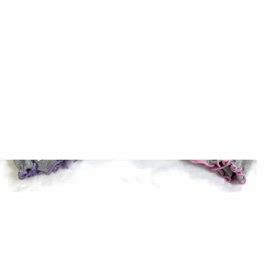2025/06/26の画像