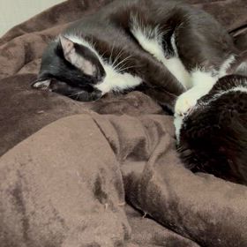 この記事の画像