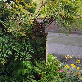 18日。火曜日。雨。の画像
